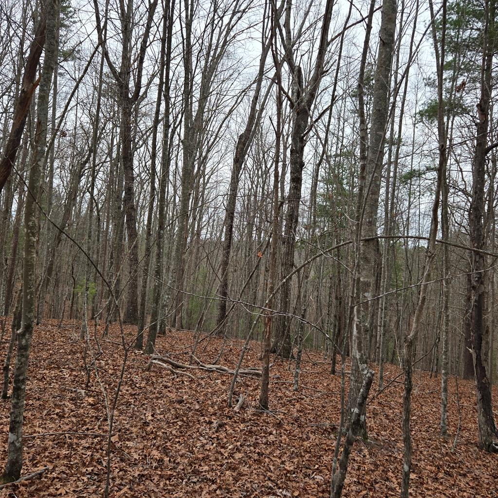 8.5 Blue Berry Ridge Property Photo 29