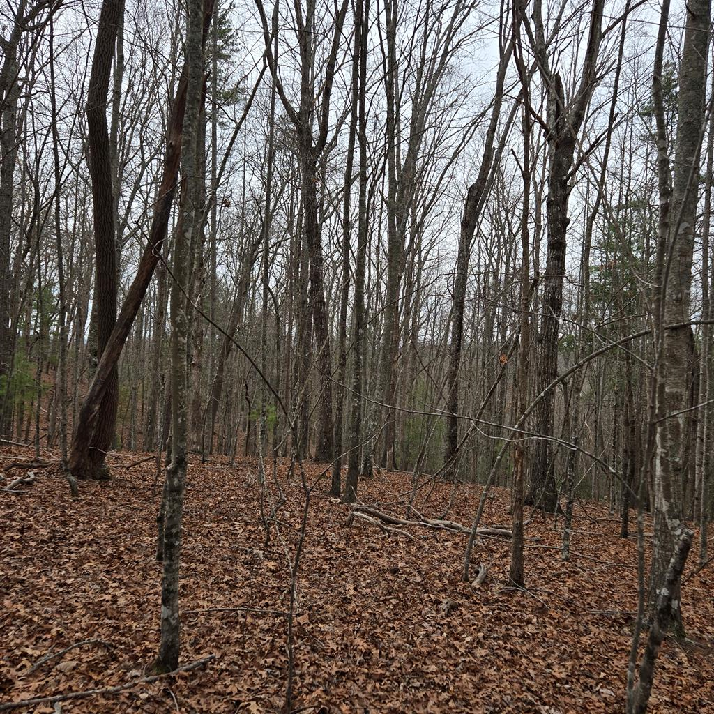 8.5 Blue Berry Ridge Property Photo 30