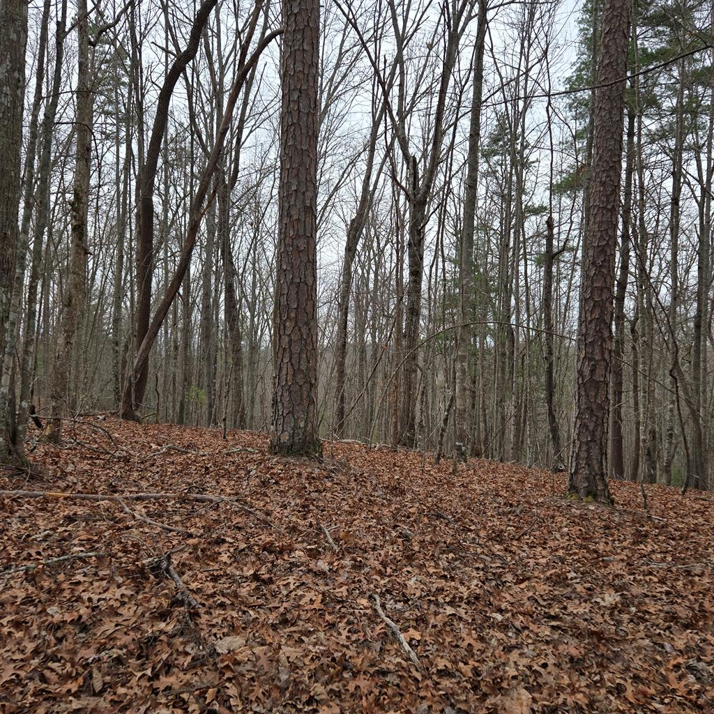 8.5 Blue Berry Ridge Property Photo 32