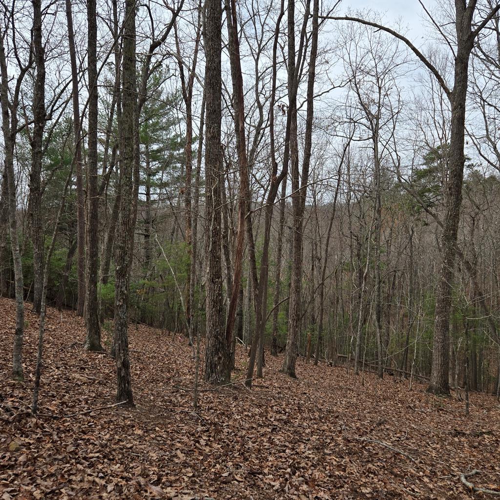 8.5 Blue Berry Ridge Property Photo 33