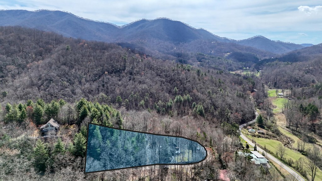 124 Cold Branch Lane Property Photo 3