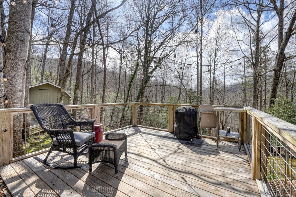 124 Cold Branch Lane Property Photo 32