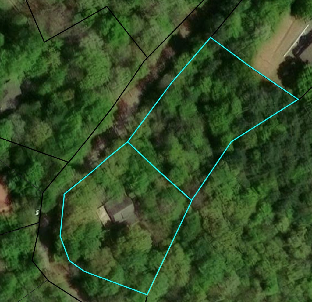 124 Cold Branch Lane Property Photo 38