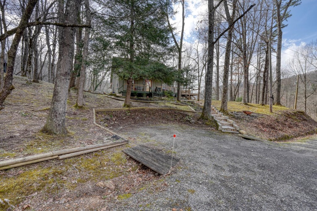 124 Cold Branch Lane Property Photo 39