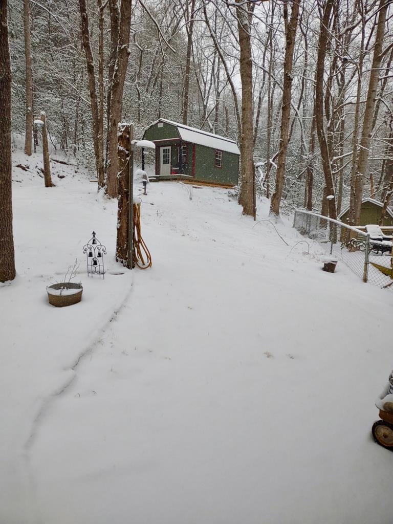 124 Cold Branch Lane Property Photo 46