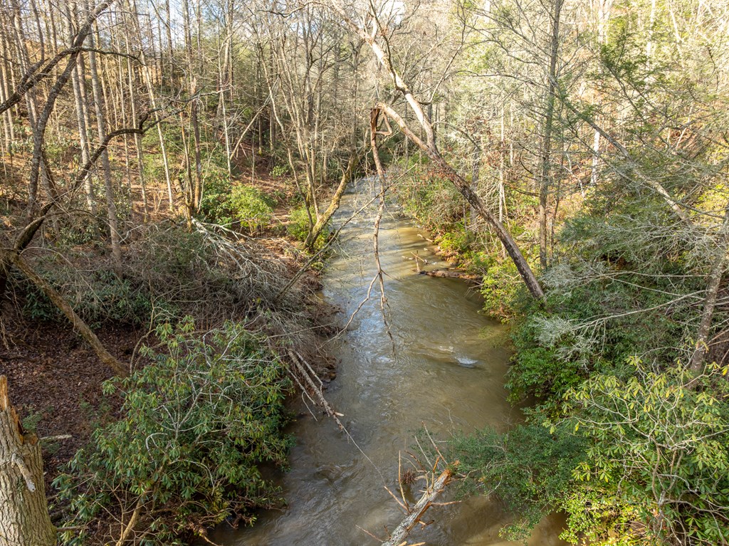 35lt Mill Creek Trail Property Photo 2
