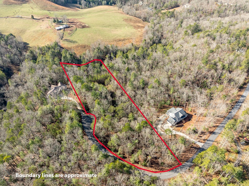 35lt Mill Creek Trail Property Photo 3