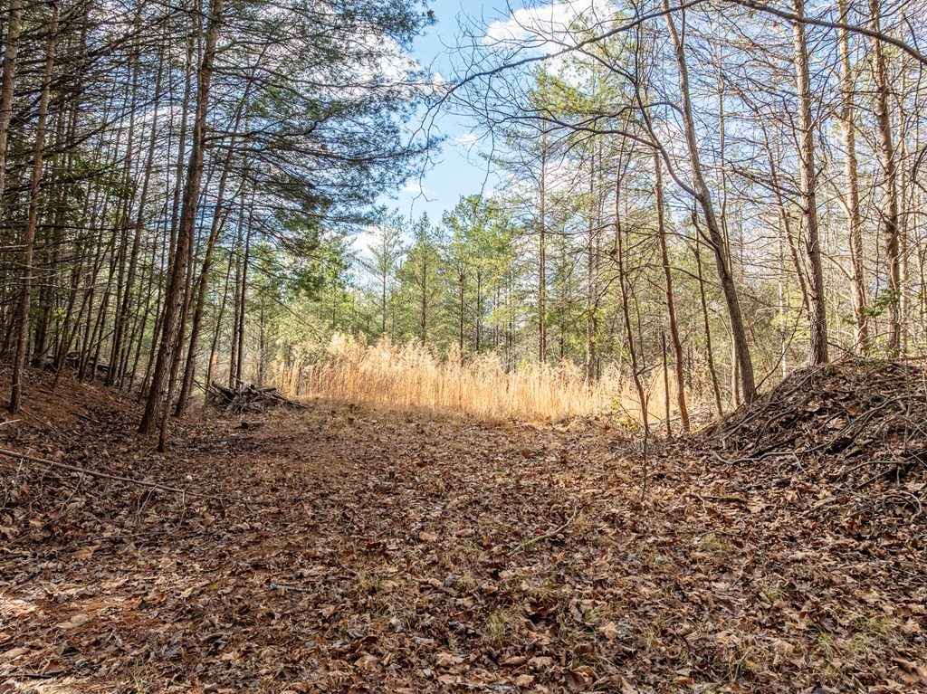 35lt Mill Creek Trail Property Photo 5