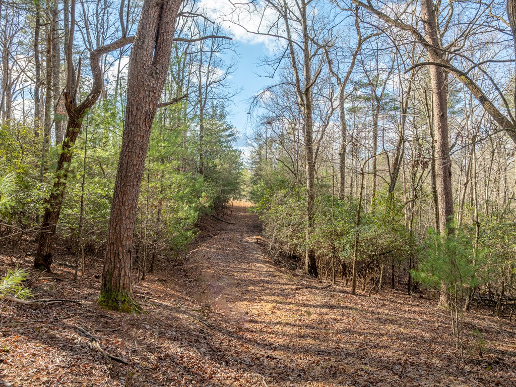 35lt Mill Creek Trail Property Photo 6