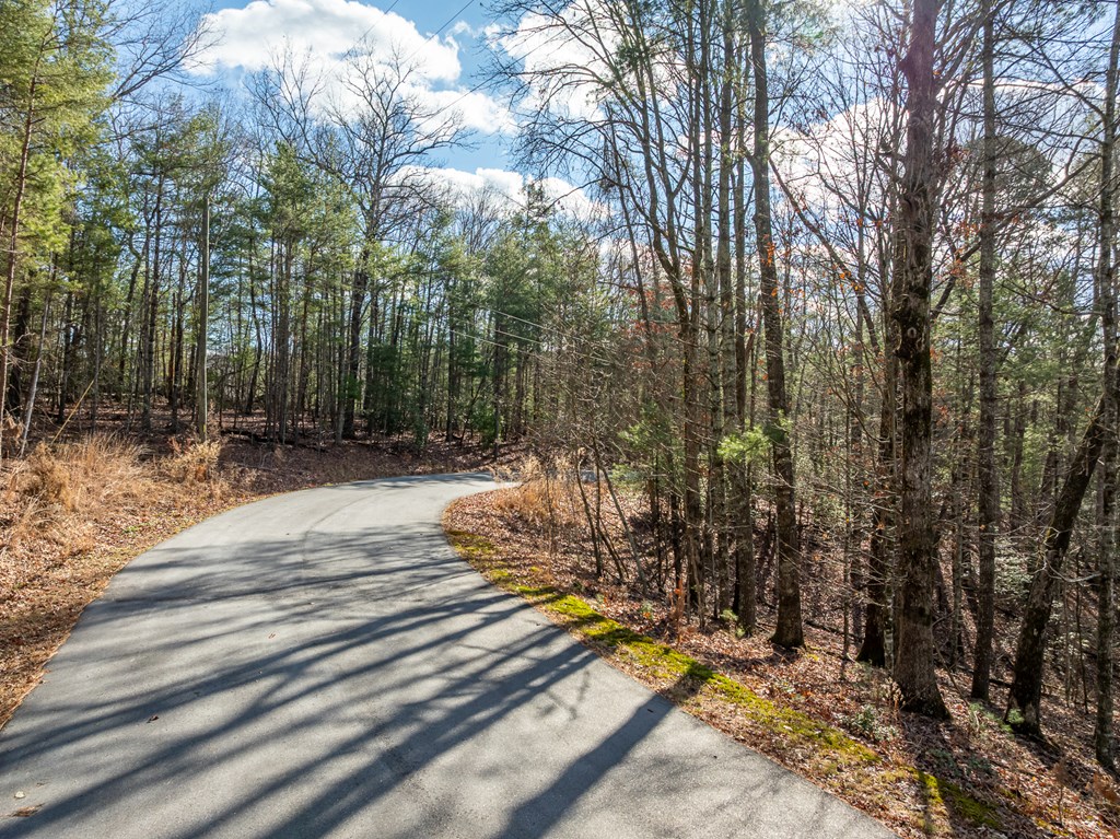 35lt Mill Creek Trail Property Photo 7