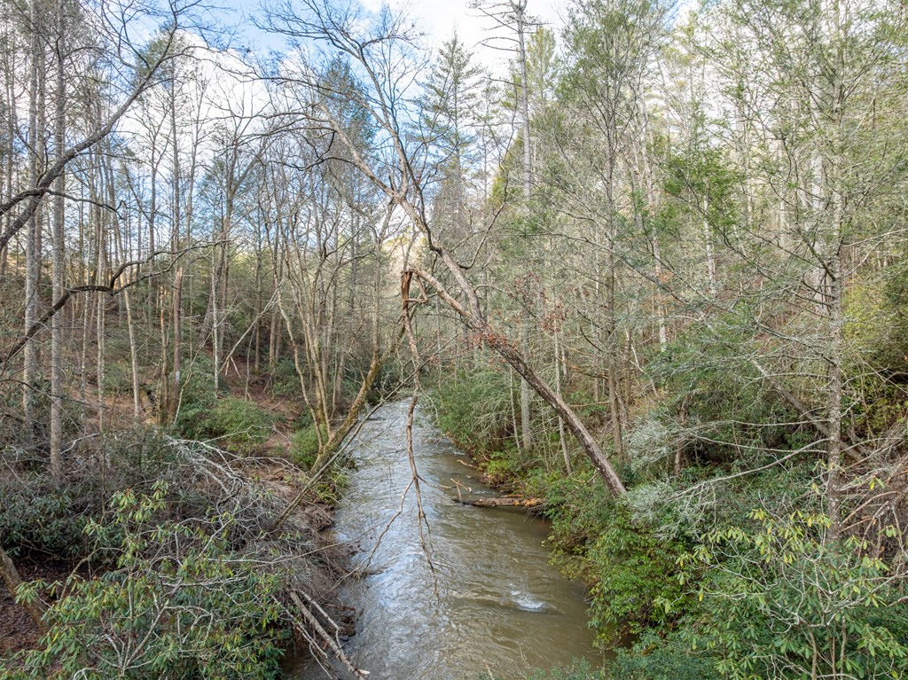 35lt Mill Creek Trail Property Photo 8