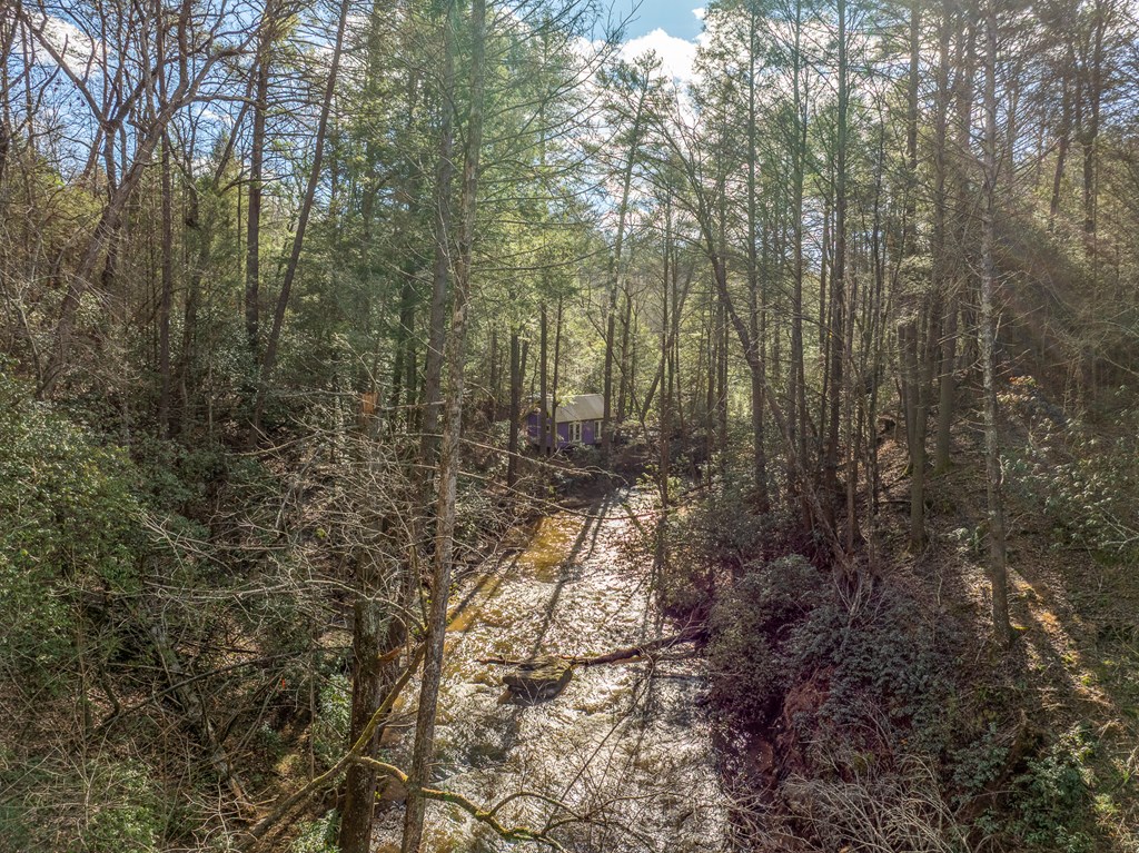 35lt Mill Creek Trail Property Photo 9