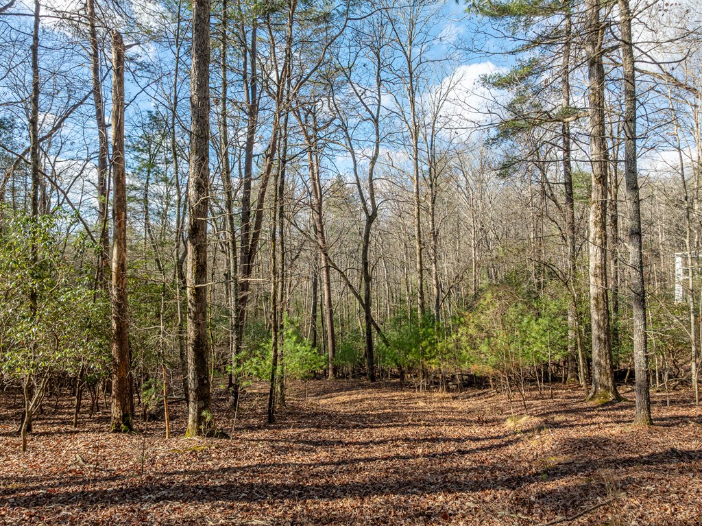 35lt Mill Creek Trail Property Photo 10