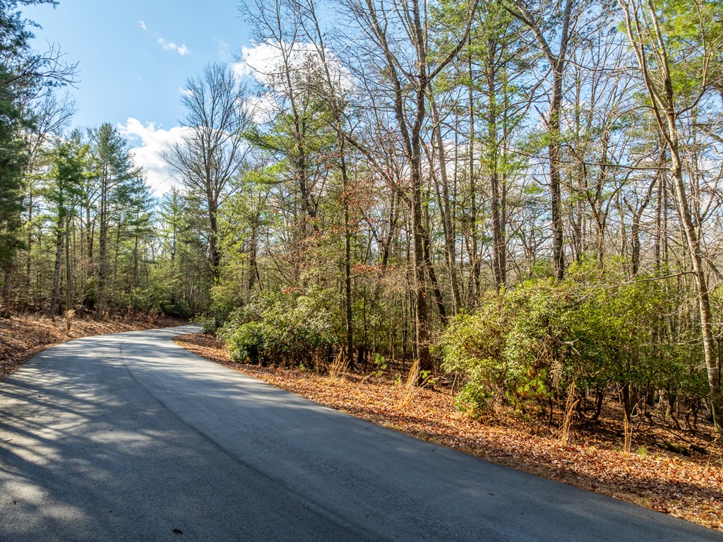 35lt Mill Creek Trail Property Photo 11