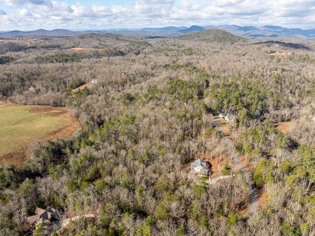 35lt Mill Creek Trail Property Photo 12