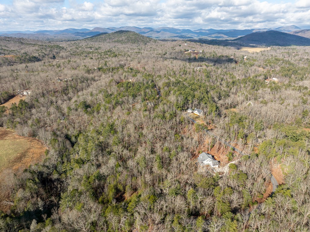 35lt Mill Creek Trail Property Photo 13
