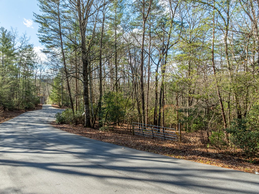 35lt Mill Creek Trail Property Photo 14