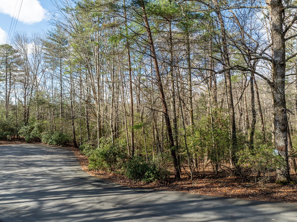 35lt Mill Creek Trail Property Photo 15