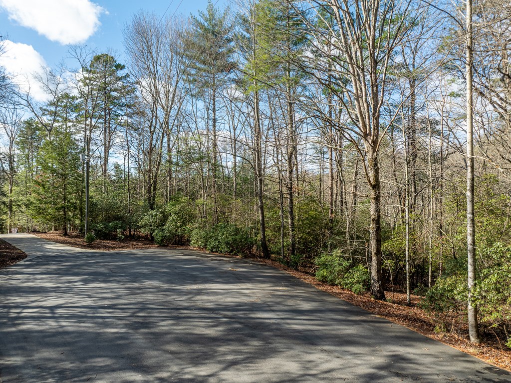 35lt Mill Creek Trail Property Photo 16