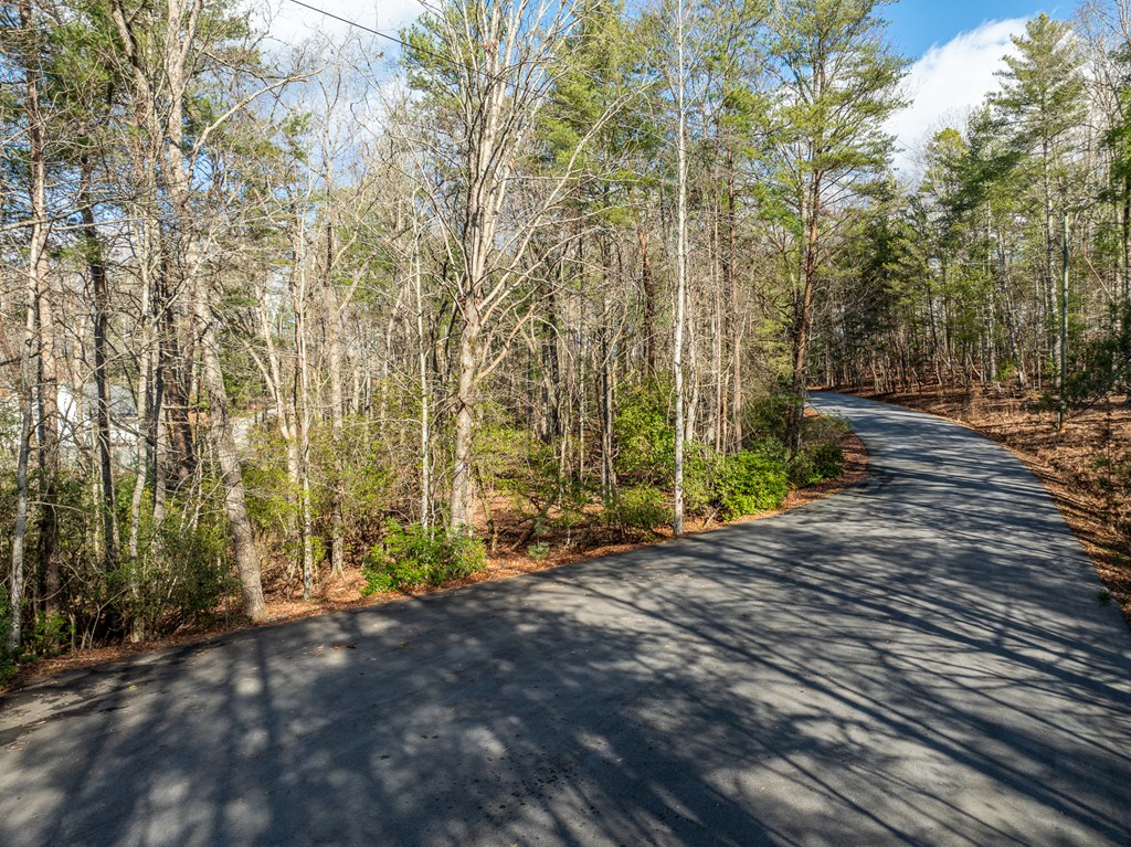 35lt Mill Creek Trail Property Photo 17