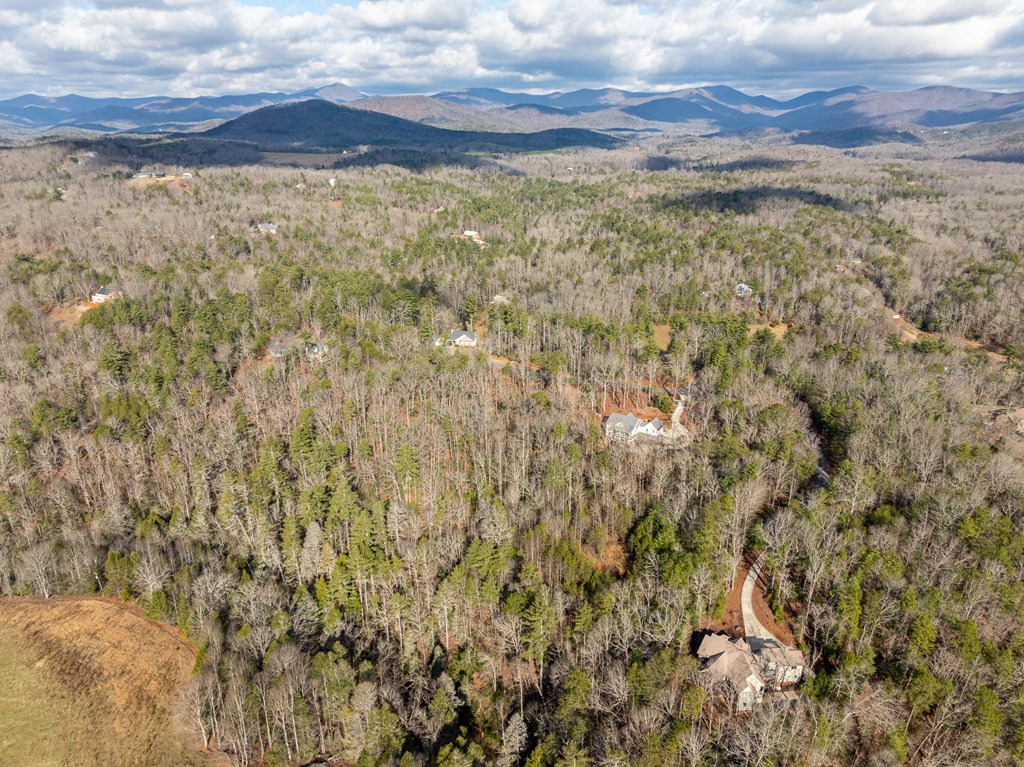 35lt Mill Creek Trail Property Photo 19
