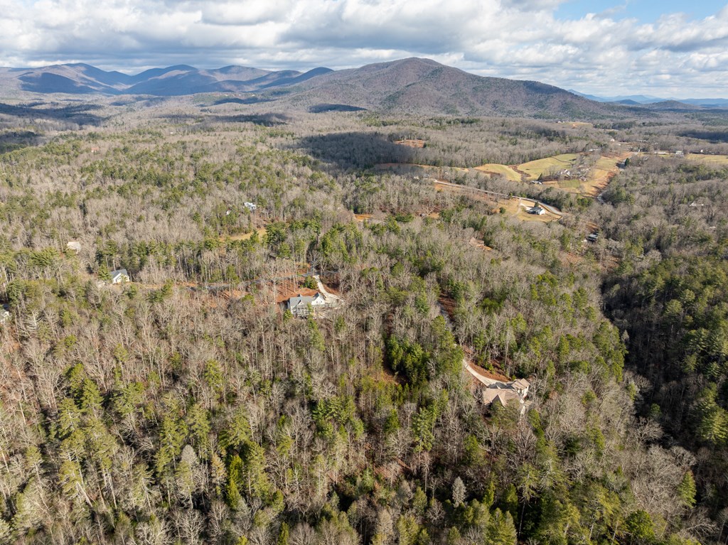 35lt Mill Creek Trail Property Photo 21