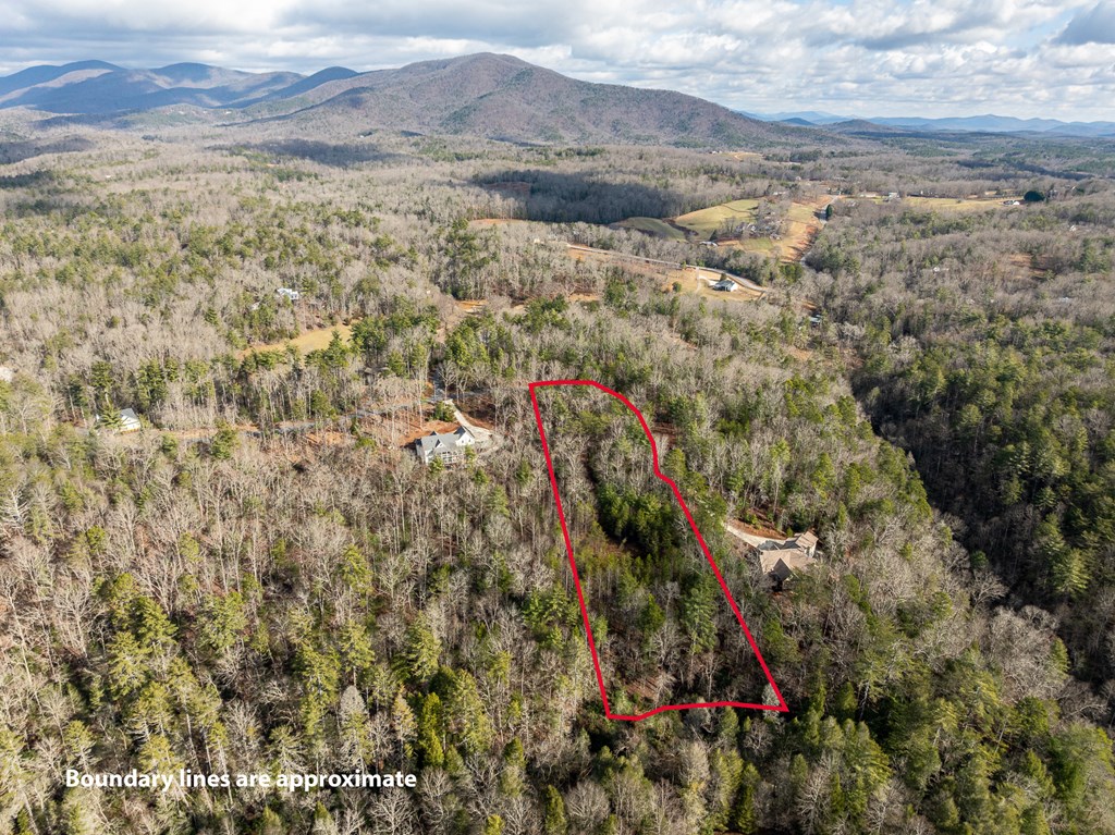 35lt Mill Creek Trail Property Photo 22
