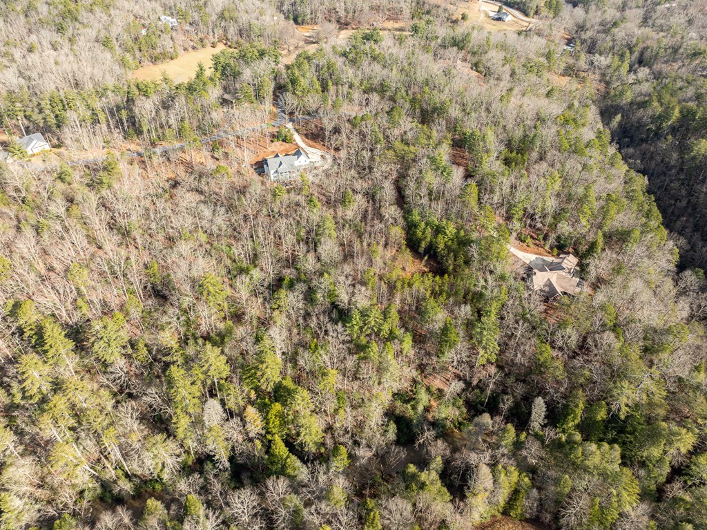 35lt Mill Creek Trail Property Photo 23