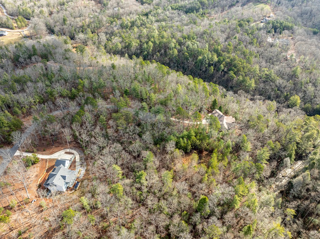 35lt Mill Creek Trail Property Photo 24