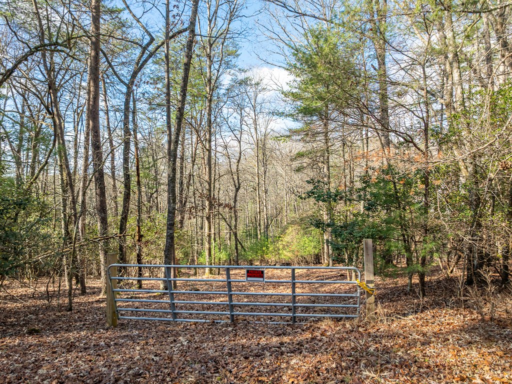 35lt Mill Creek Trail Property Photo 25
