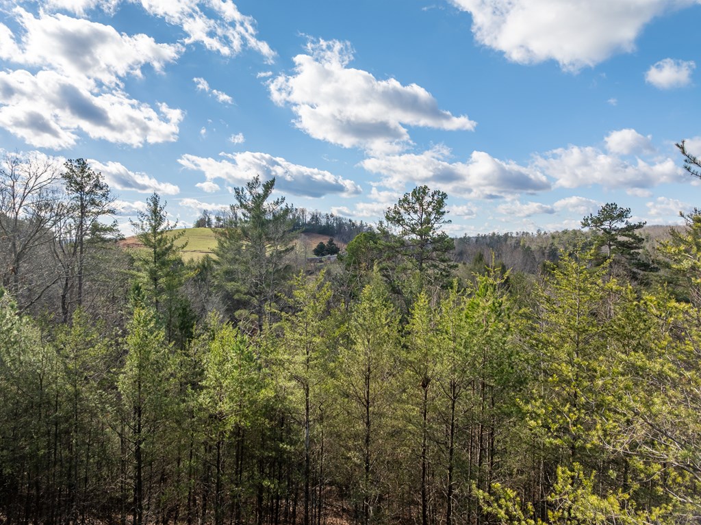 35lt Mill Creek Trail Property Photo 26