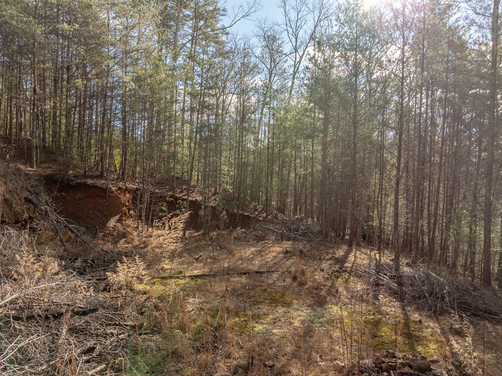 35lt Mill Creek Trail Property Photo 28