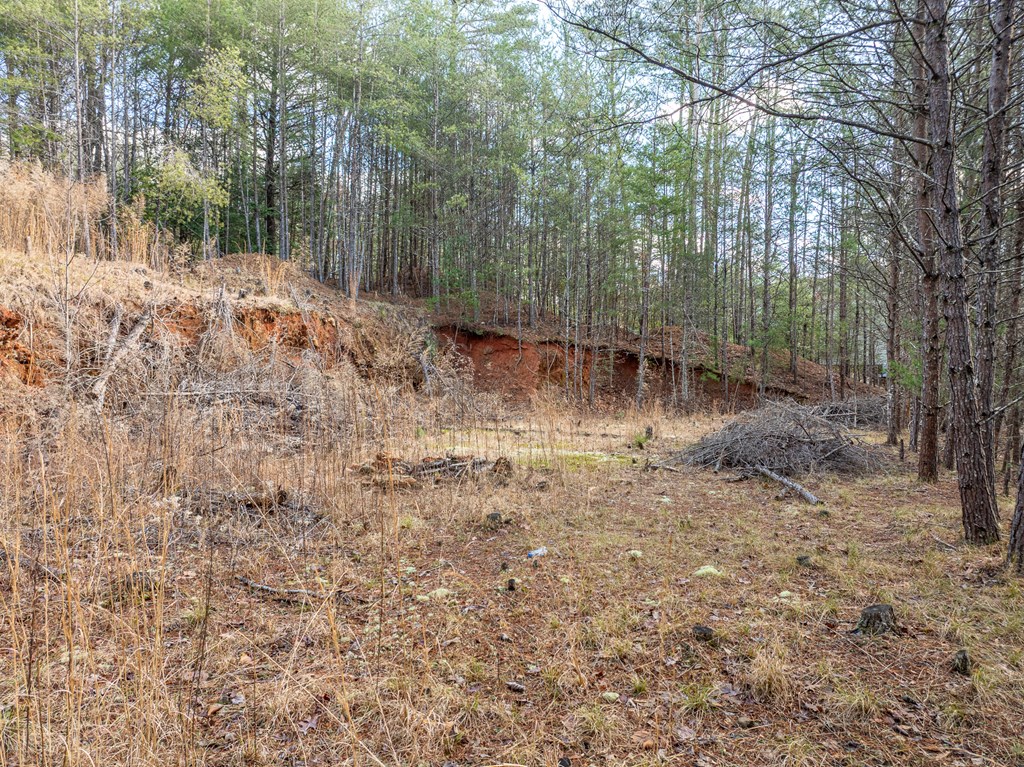 35lt Mill Creek Trail Property Photo 29