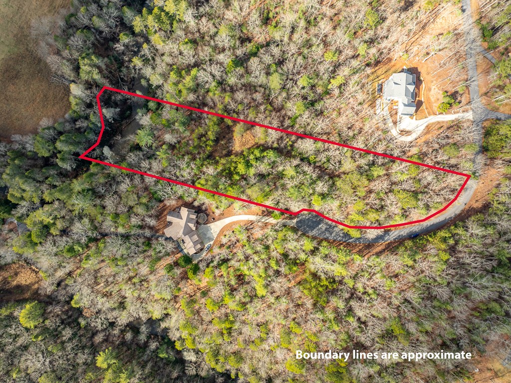 35lt Mill Creek Trail Property Photo 30