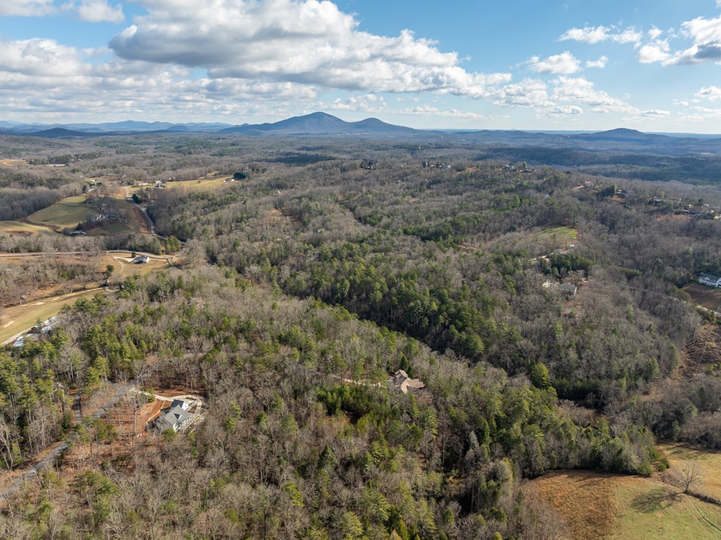 35lt Mill Creek Trail Property Photo 31