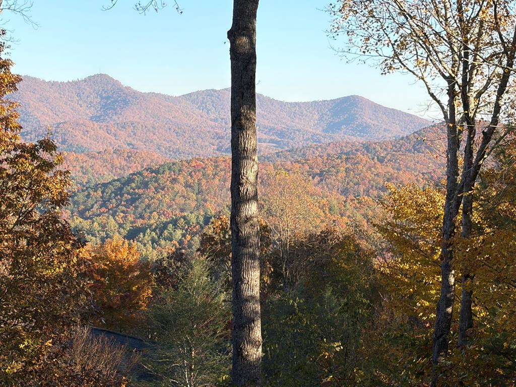 25 Unaka Trail Property Photo 2