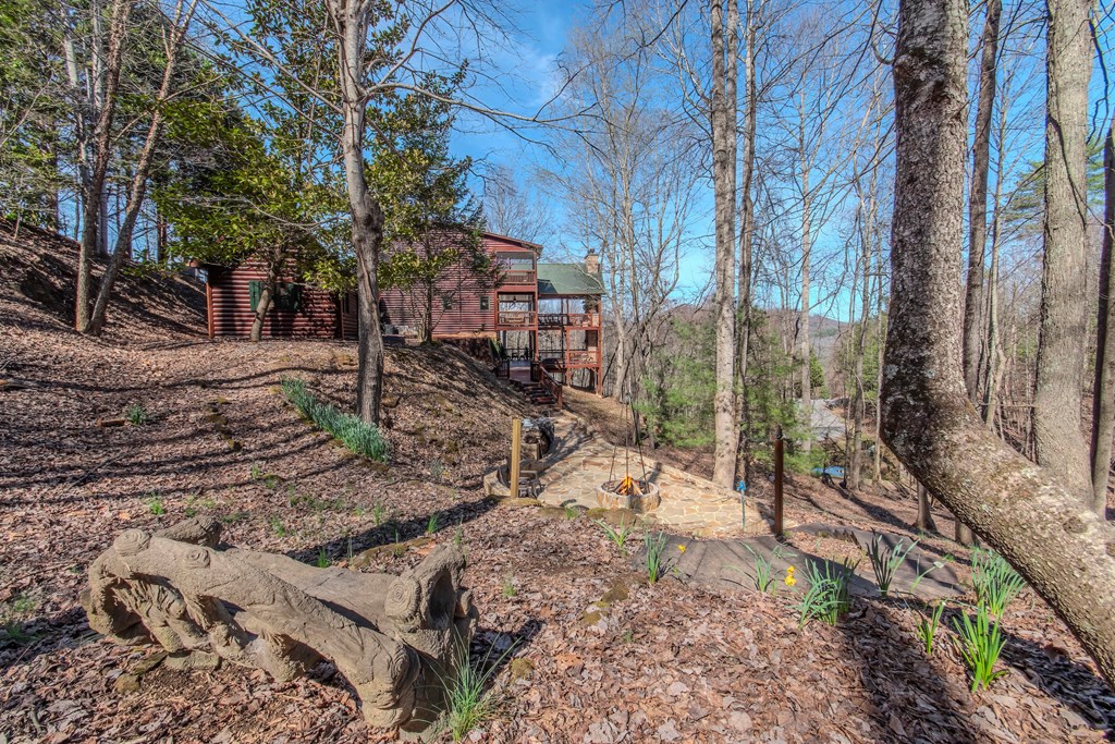 25 Unaka Trail Property Photo 13