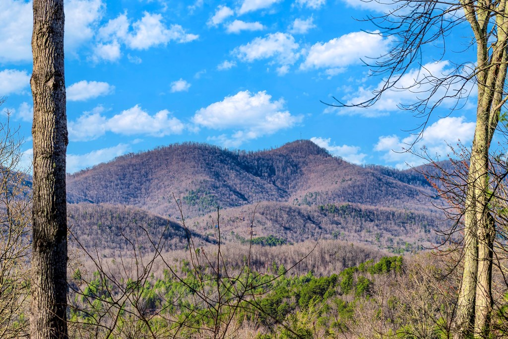 25 Unaka Trail Property Photo 14