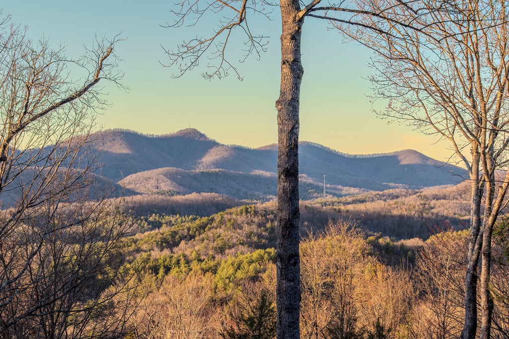 25 Unaka Trail Property Photo 42