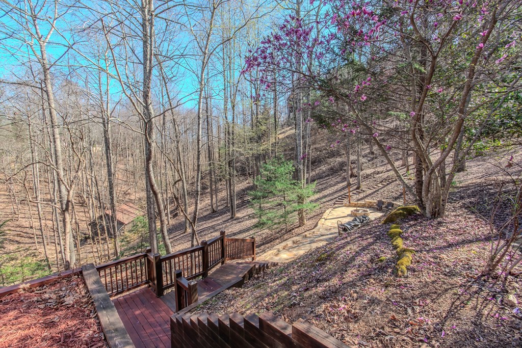 25 Unaka Trail Property Photo 60