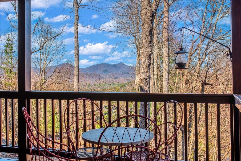 25 Unaka Trail Property Photo 67