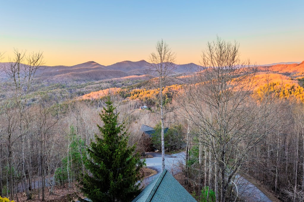 25 Unaka Trail Property Photo 69
