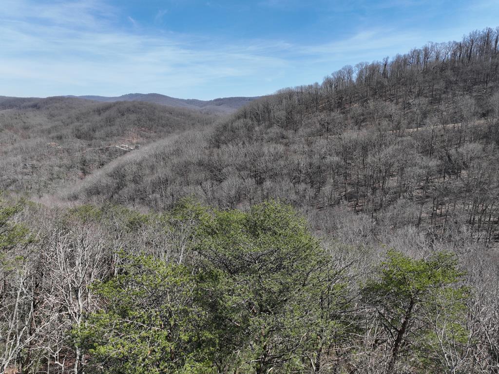 200 Stone Cliff Drive Property Photo 1