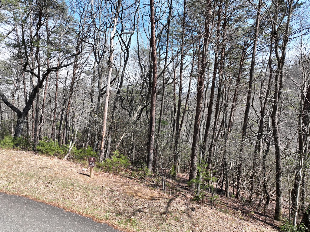 200 Stone Cliff Drive Property Photo 2