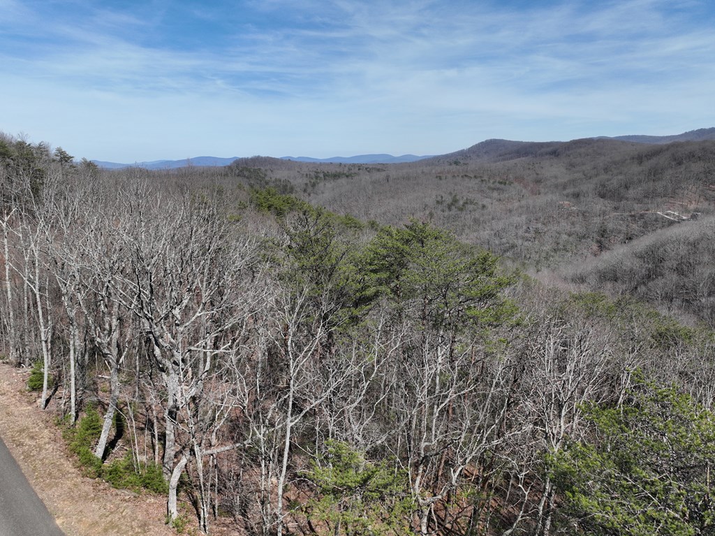 200 Stone Cliff Drive Property Photo 6