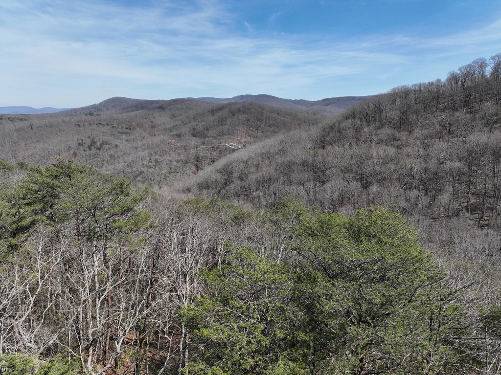200 Stone Cliff Drive Property Photo 7