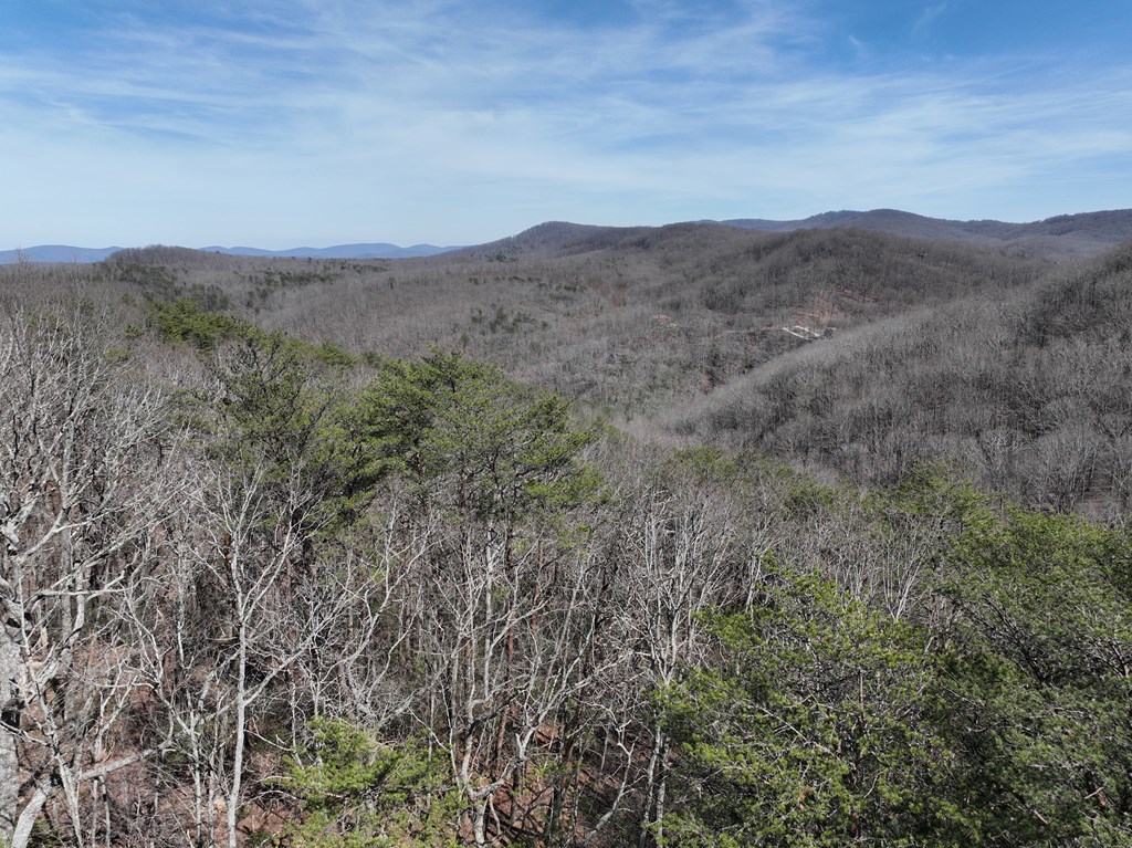 200 Stone Cliff Drive Property Photo 8