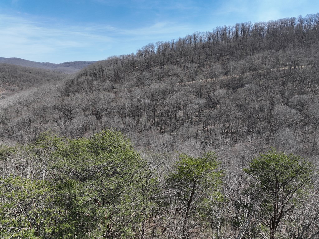 200 Stone Cliff Drive Property Photo 9