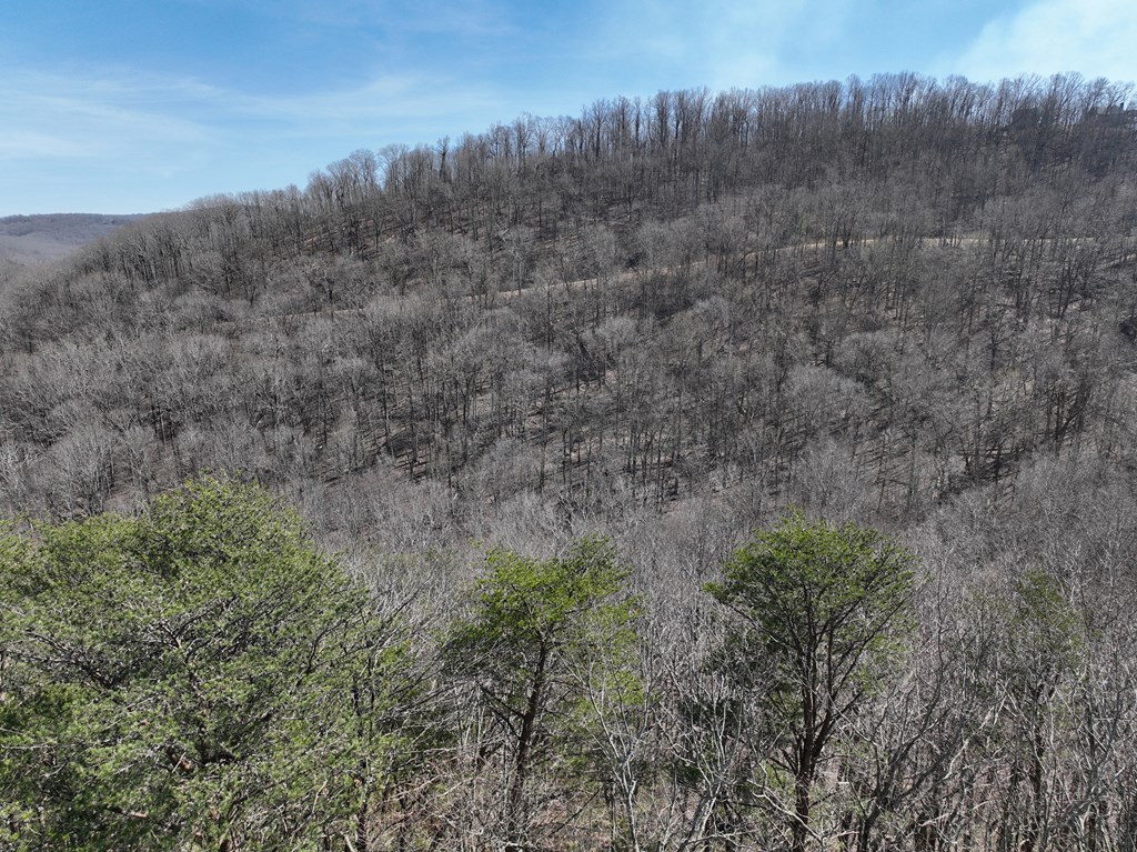 200 Stone Cliff Drive Property Photo 10