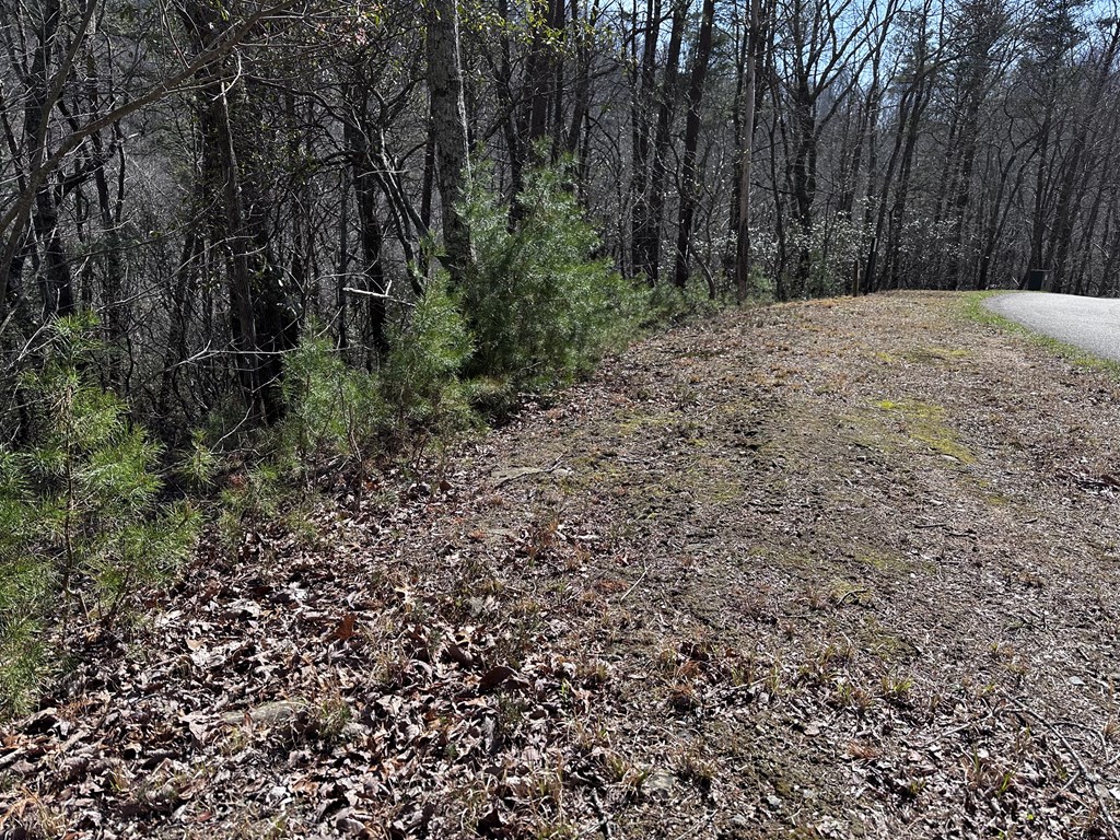 200 Stone Cliff Drive Property Photo 11